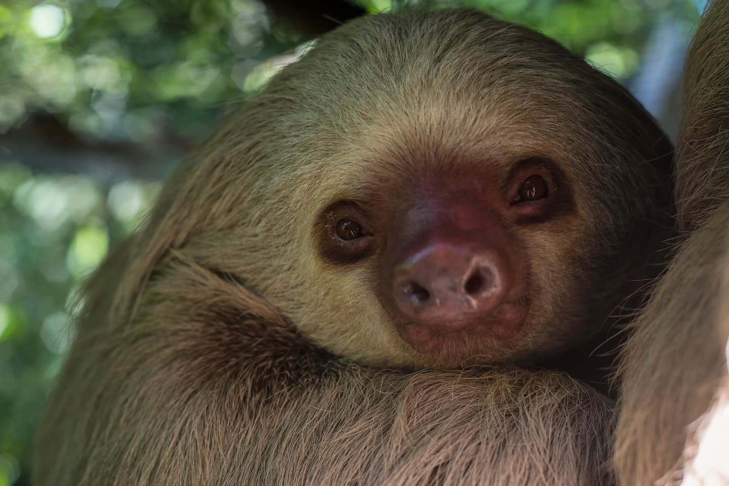 Courtesy of Visit Costa Rica